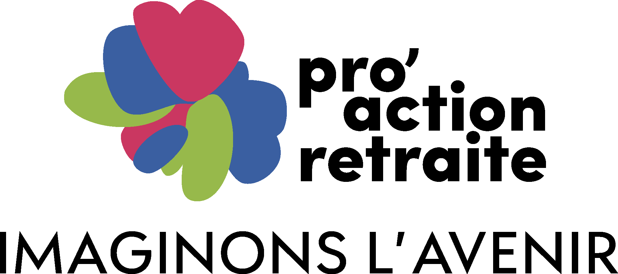Logo-pro-action-retraite.png#asset:360327